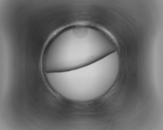 X0000114541327200910190923