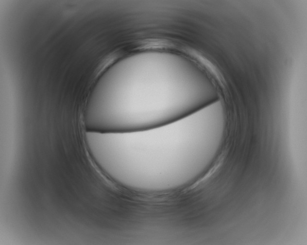X0000114541329200910190923