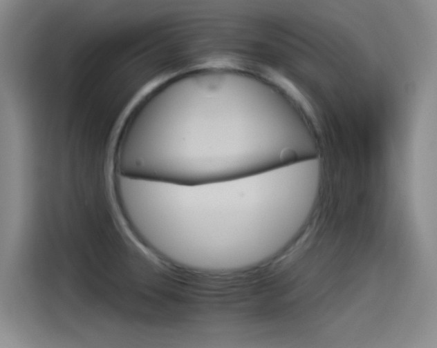 X0000114541331200910190923