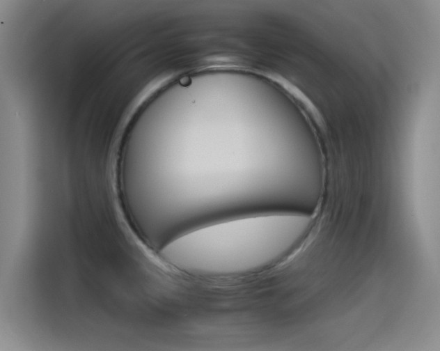 X0000114541333200910190923
