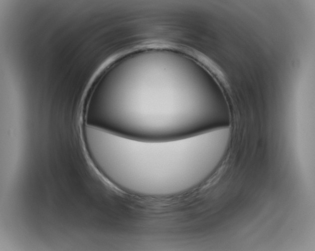 X0000114541334200910190923