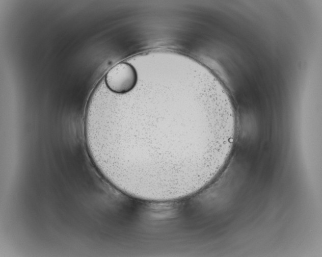 X0000114541338200910190923
