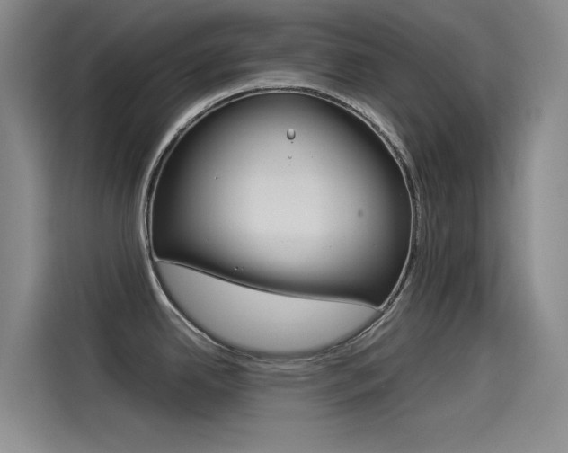 X0000114541342200910190924