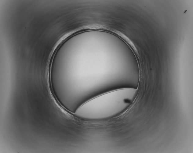 X0000114541343200910190924