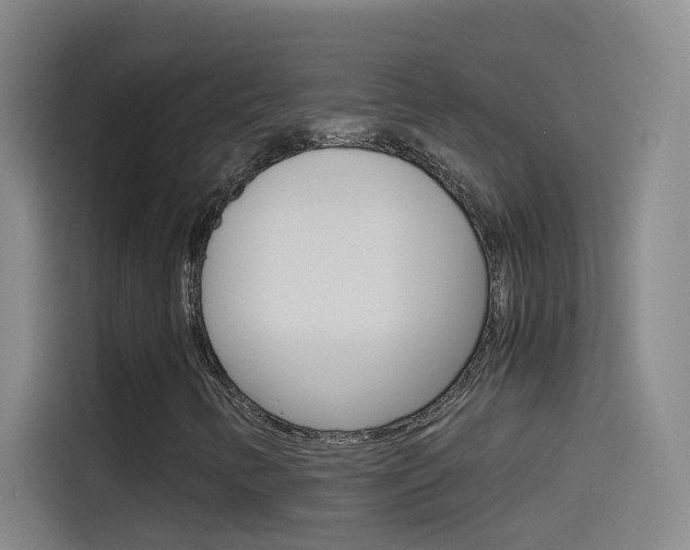 X0000114541346200910190923