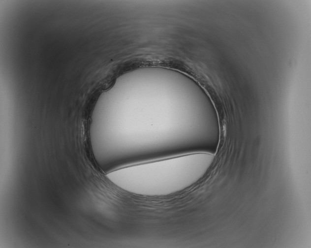 X0000114541347200910190923