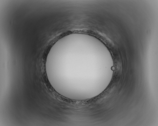 X0000114541350200910190923