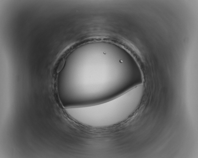 X0000114541352200910190923