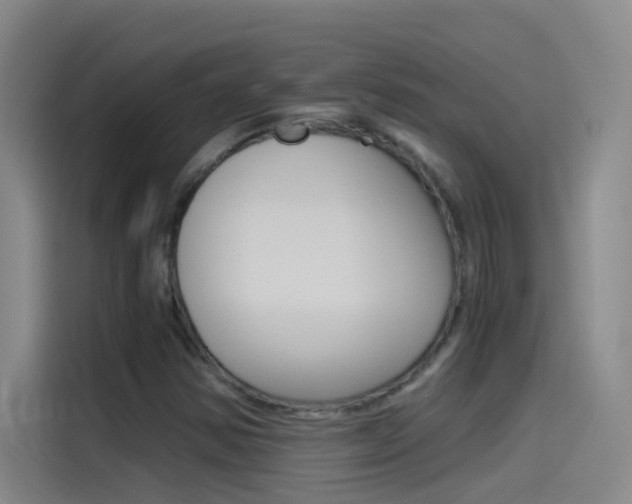 X0000114541354200910190923