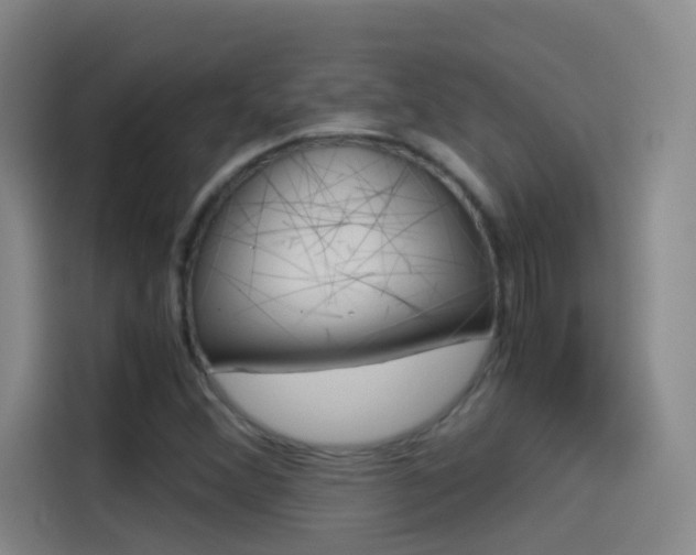 X0000114541356200910190923