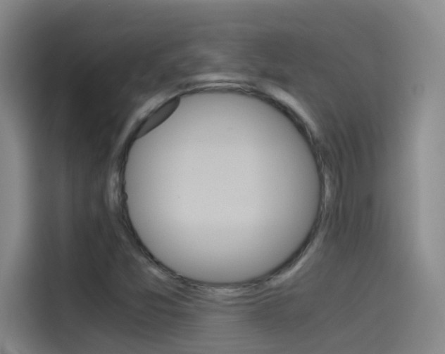 X0000114541357200910190923