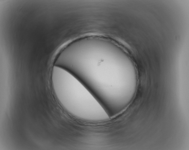 X0000114541359200910190923