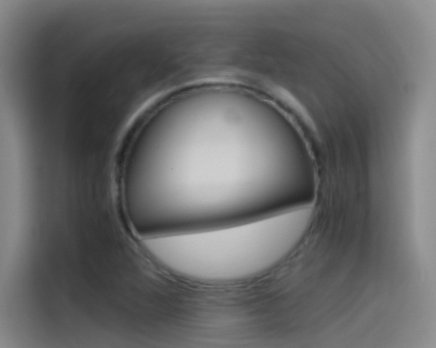 X0000114541360200910190923