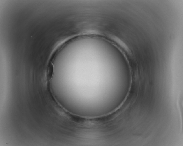 X0000114541364200910190923