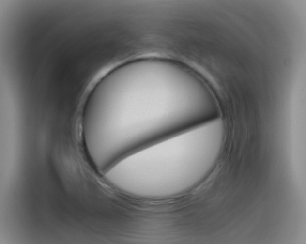 X0000114541367200910190923