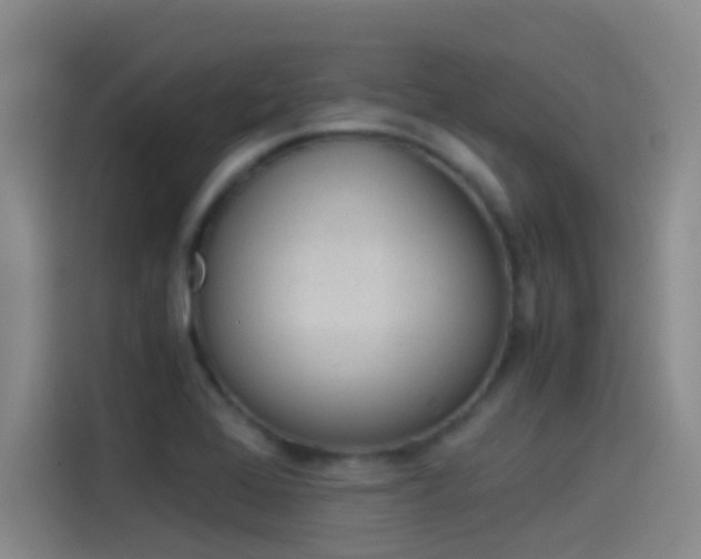 X0000114541368200910190923