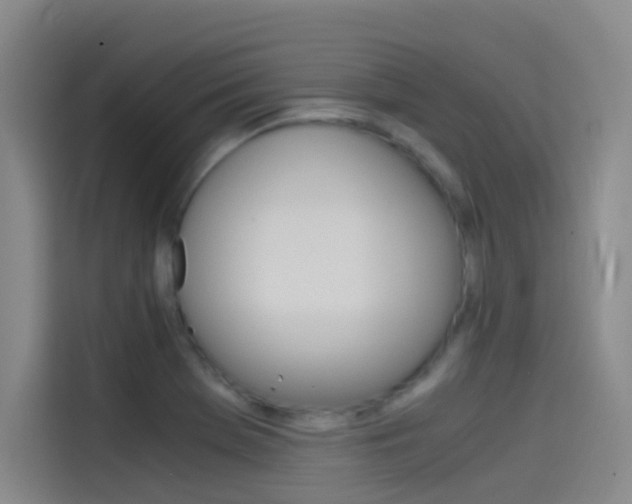 X0000114541369200910190923