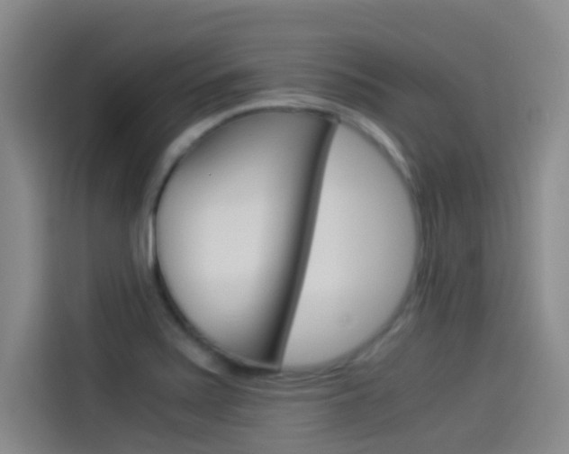 X0000114541371200910190923