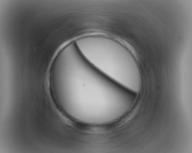 X0000114541375200910190923