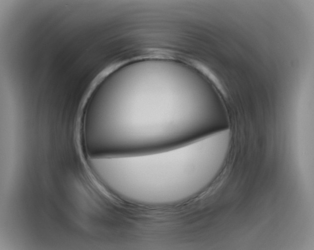 X0000114541379200910190922