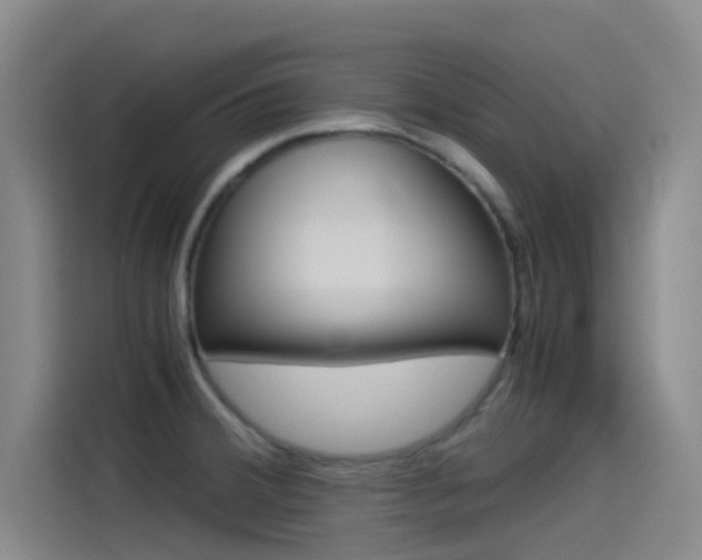 X0000114541380200910190922