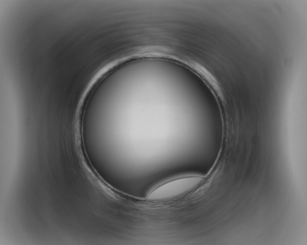 X0000114541384200910190922