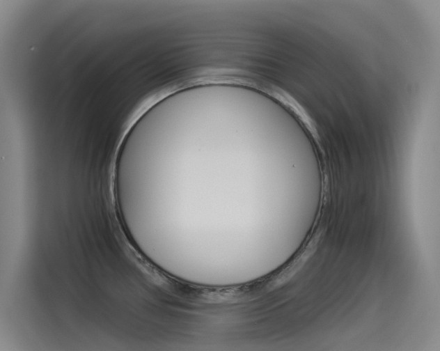 X0000114541386200910190922