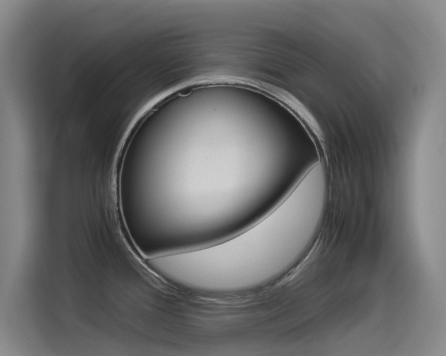 X0000114541388200910190922