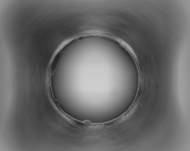 X0000114541389200910190922