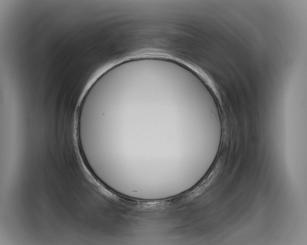 X0000114541390200910190922