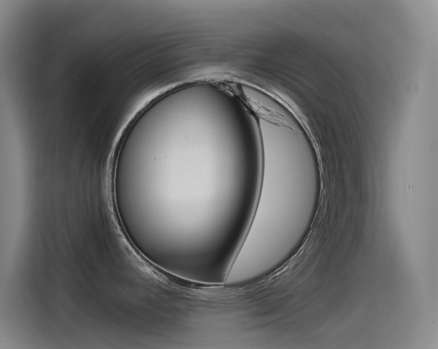 X0000114541392200910190922