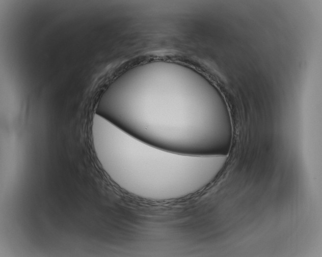 X0000114541398200910190922