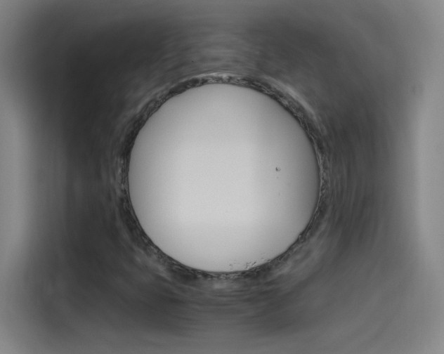 X0000114541399200910190922