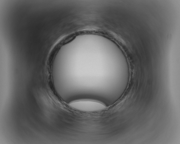 X0000114541400200910190922