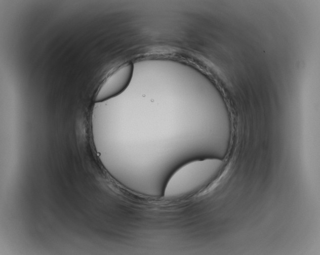 X0000114541401200910190922