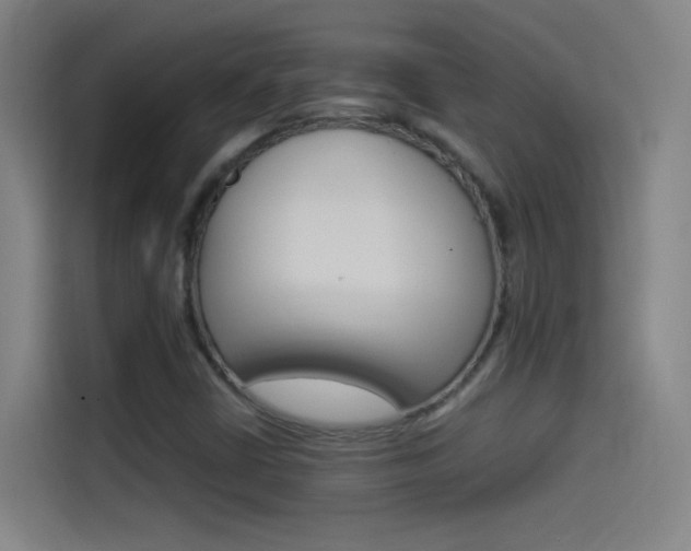 X0000114541402200910190922