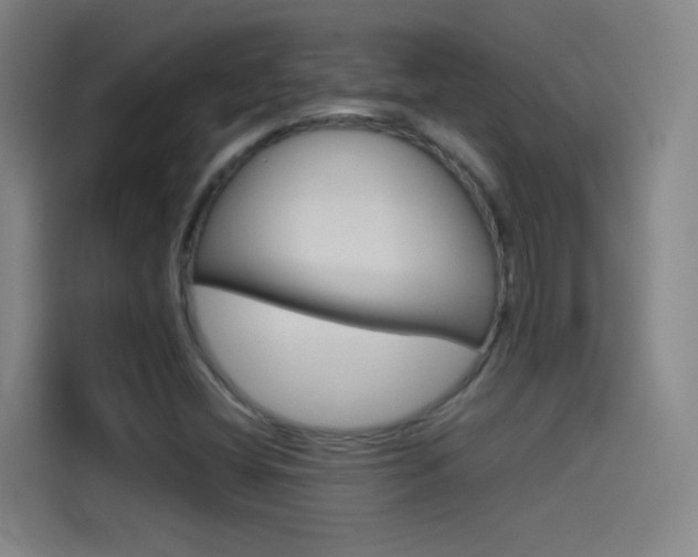 X0000114541404200910190922