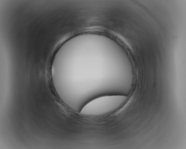 X0000114541405200910190922