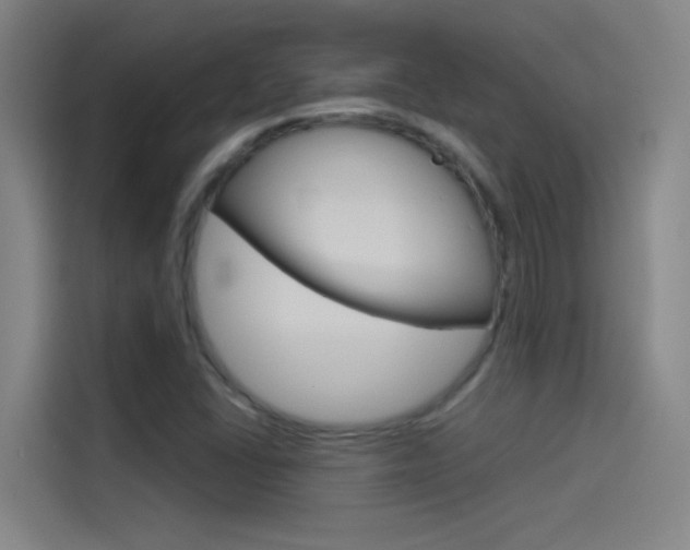 X0000114541406200910190922