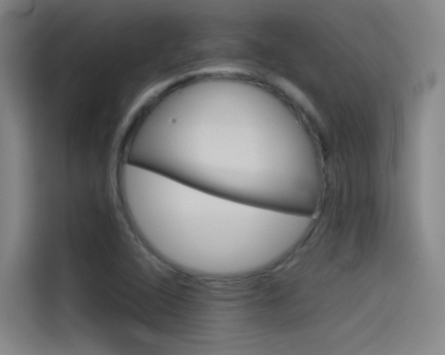 X0000114541408200910190922