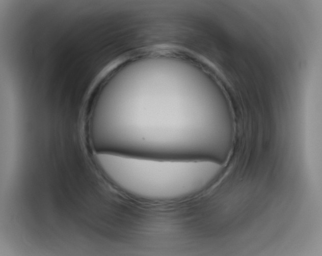 X0000114541410200910190922