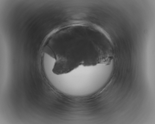 X0000114541411200910190922