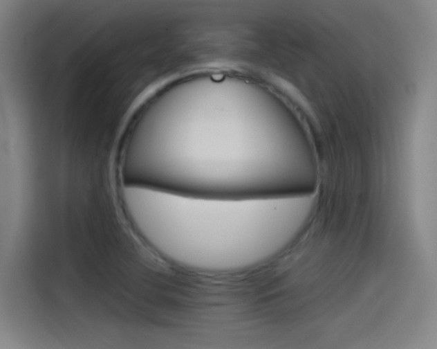X0000114541412200910190922