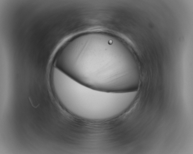X0000114541414200910190922