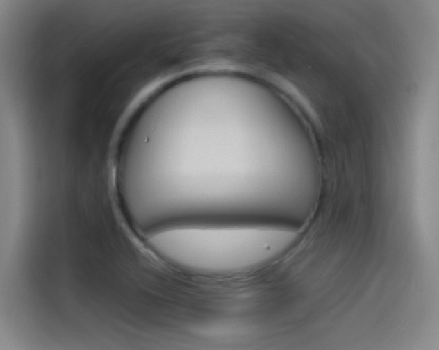 X0000114541416200910190922