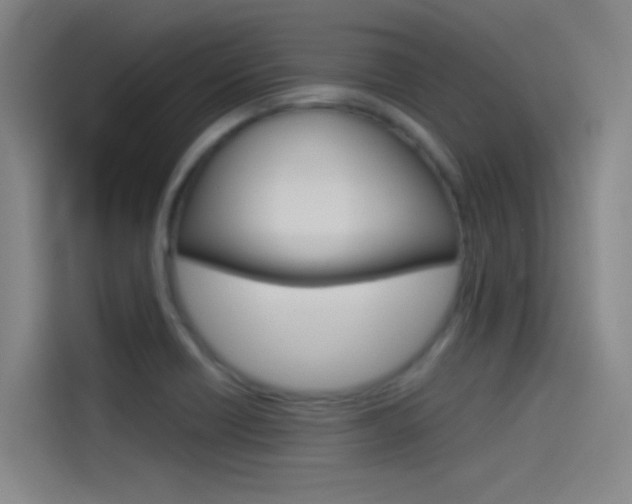 X0000114541418200910190922