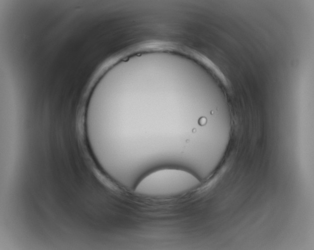 X0000114541421200910190922
