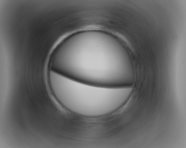 X0000114541422200910190922