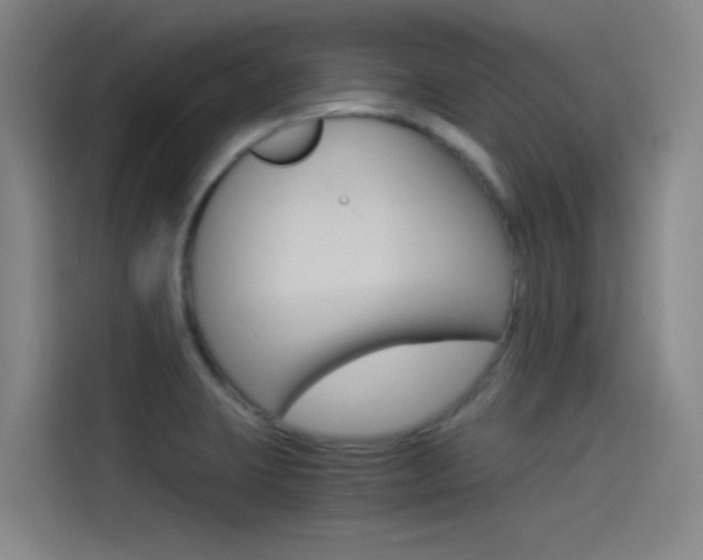 X0000114541423200910190922
