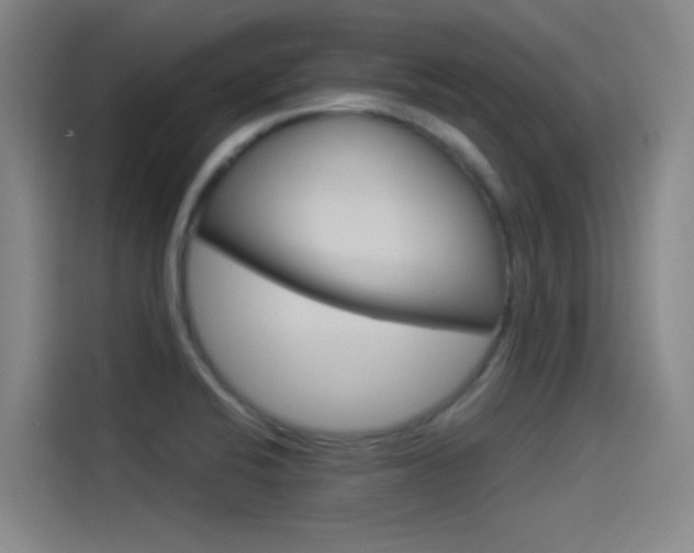 X0000114541424200910190922